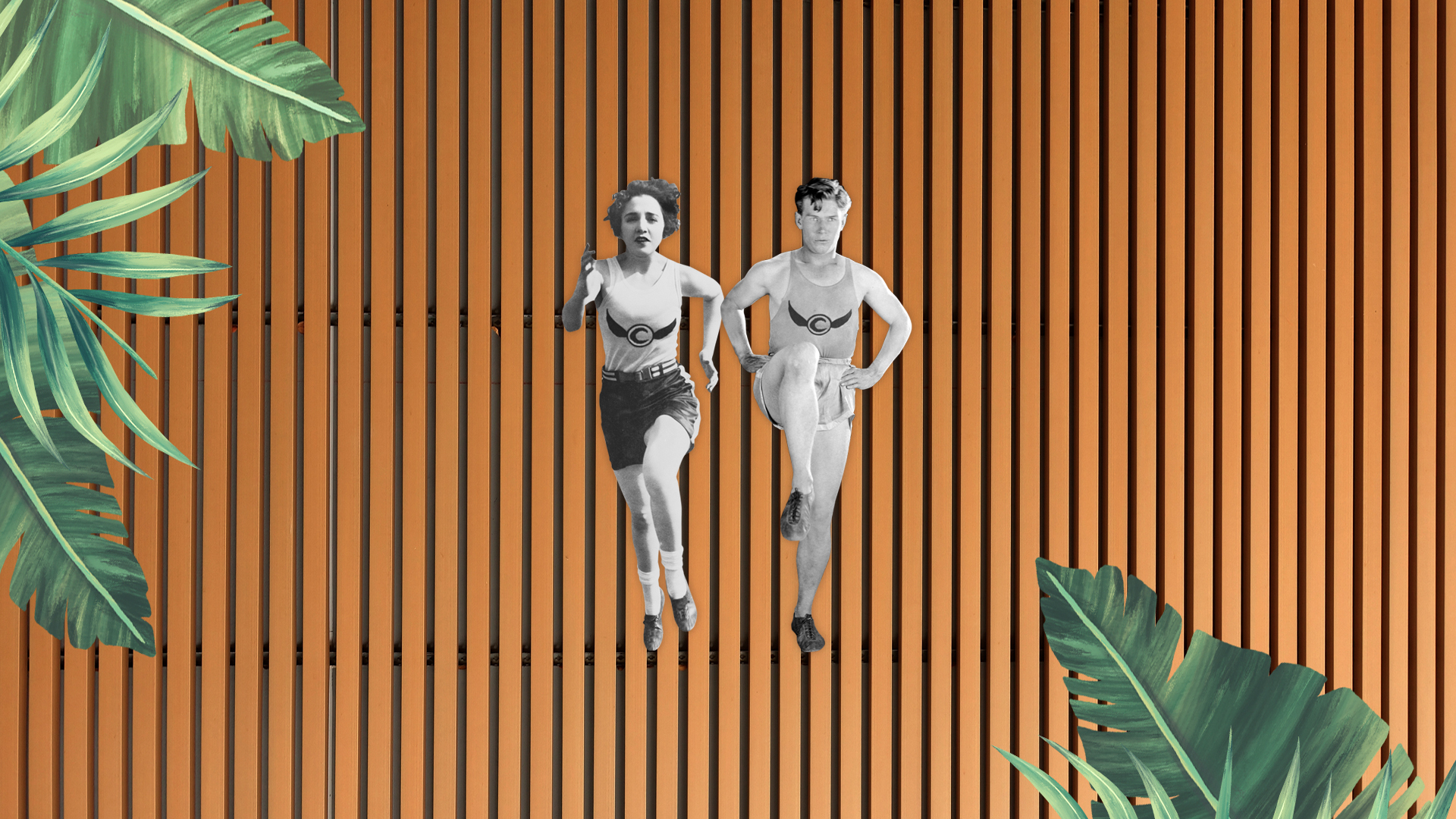 diseño vinilo gimnasio