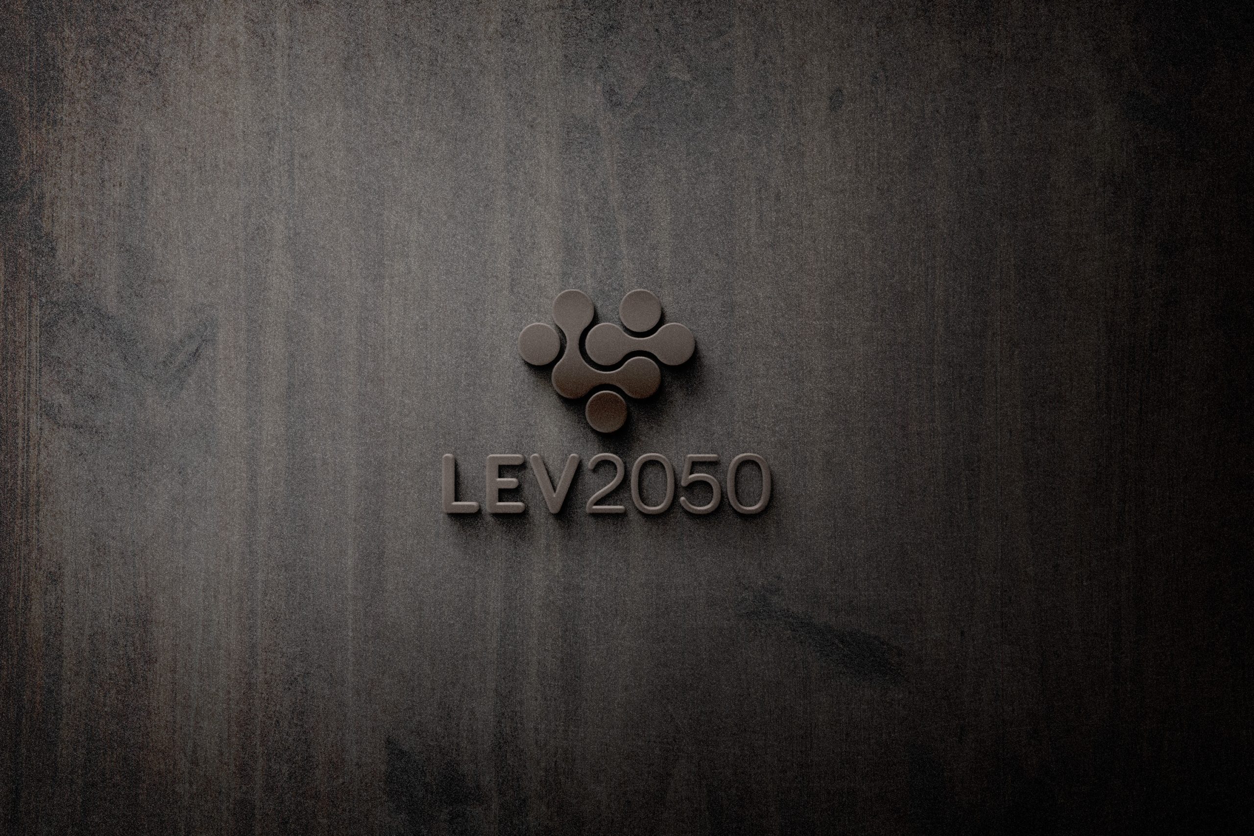 Logo de LEV 2050 en textura de madera