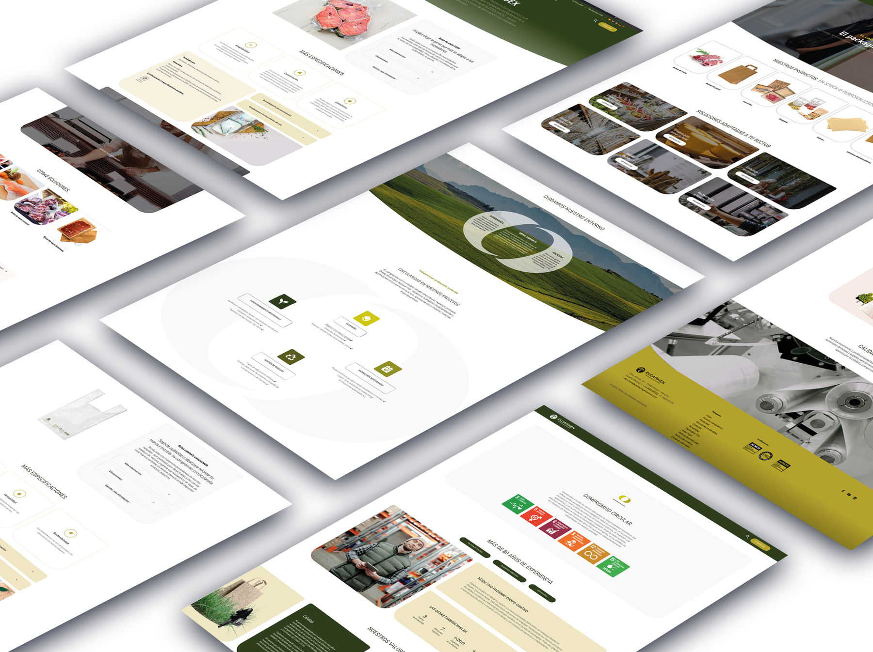 DISEÑO DE WEBSITE PARA EL CARMEN PACKAGING SOLUTIONS_
