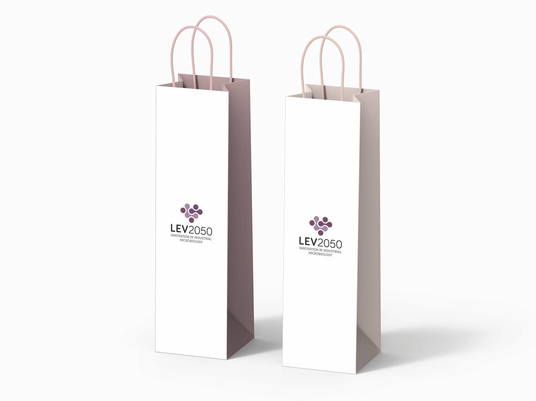 MANUAL DE IDENTIDAD PARA LEV2050_